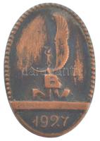 1927. BNV - Budapesti Nemzetközi Vásár bronz jelvény LUDVIG E BP gyártói jelzéssel, tű hiányzik (24x16mm) T:2