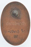 1927. "BNV - Budapesti Nemzetközi Vásár" bronz jelvény "LUDVIG E BP" gyártói jel...