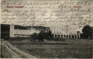 1911 Csopak, várkastély