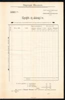 1899 Főlhívás a nemzethez Mátyás királyunk szülőházában Néprajzi Múzeum alakítása tárgyában. Gyüjtőí...