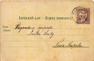 1900 Daruvár, Daruwar; tér. F. Cimic kiadása / square (b)