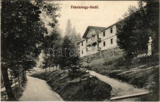 1912 Feketehegy-fürdő, Feketehegy, Schwartzenberg, Cernohorské kúpele (Merény, Vondrisel, Nálepkovo); Tompa ház és szobor / villa, statue, spa (lyuk / pinhole)