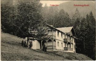 1910 Feketehegy-fürdő, Feketehegy, Schwartzenberg, Cernohorské kúpele (Merény, Vondrisel, Nálepkovo); Tompa ház / villa, spa (EK)