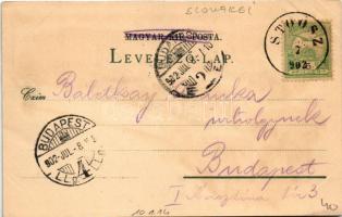 1902 Stószfürdő, Stoósz-fürdő, Kúpele Stós; Dr. Czirfusz villa, látkép, Hungária nyaraló, Kompordai ...