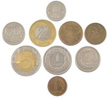 Lengyelország 1991-2009. 1gr-5Zl (9xklf) forgalmi összeállítás T:1-,2 Poland 1991-2009. 1 Grosz - 5 Złotych (9xdiff) coin set C:AU,XF
