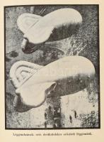 Székelyi Nyiry László: Hadtudományi enciklopédia. Nagybaconi Nagy Vilmos előszavával. Bp., 1942., (U...