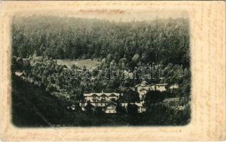 1903 Stószfürdő, Stoósz-fürdő, Kúpele Stós; fürdő látképe. Wlaszlovits Gusztáv kiadása / general view, spa (r)