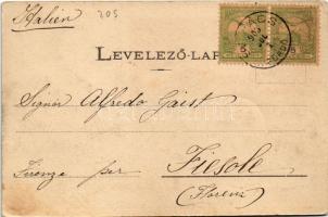 1903 Szliács, Sliac; Pannonia szálloda. Kerekes Miklós kiadása / hotel, spa (EK)