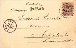 1899 (Vorläufer) Greeting card with girl, doves and flowers. Floral, litho (kis szakadás / small tea...