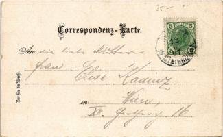 1907 Bad Aussee (Steiermark), Aussee mit dem Sarstein / general view