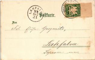 1899 (Vorläufer) Würzburg, general view, couple riding a tandem bicycle. Kunst-Anstalt Rosenblatt Ar...