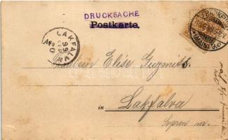 1899 (Vorläufer) Frankfurt am Main, Das Opernhaus, Eschenheimer Turm / operahouse, tower. Moritz Wie...