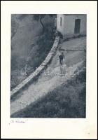 Kankowszky, Tamás: Kamera und Kunst. Bp., 1946., Georg Vajna und Co.,(New York, Transatlantic Arts-n...