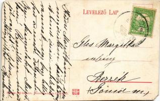 Csíz, Csízfürdő, Kúpele Cíz; park. Szoyka Pál kiadása (EM)