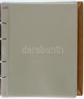 "Kuriositäten auf Banknoten " barna, bársonyborítású, négygyűrűs album, 50db egyosztatú és...