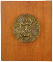 Adorjáni Endre (1950-) 1981. Tamási Áron egyoldalas bronz emlékérem (120mm) fa lapra erősítve (270x230mm), hátoldalon a készítő szignójával T:1-