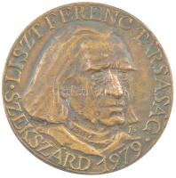 1979. Liszt Ferenc Társaság Szekszárd 1979 bronz emlékérem., hátlapon 106 sorszámmal Szign.: FP? (79mm) T:1