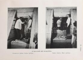 [Howard Carter (1874-1939), Arthur Cruttenden Mace (1874-1928] Carter, Howard - Mace, A[rthur] C[rut...