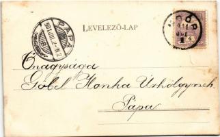 1901 Mór, Moór; szolgabíró hivatal, állami polgári iskola. Díszes litho (EB)