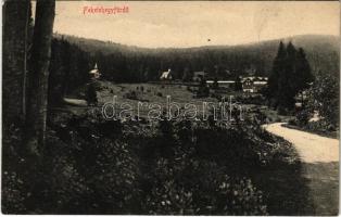 Feketehegy-fürdő, Feketehegy, Schwartzenberg, Cernohorské kúpele (Merény, Vondrisel, Nálepkovo); látkép. Korbasz Vilma kiadása / general view, spa