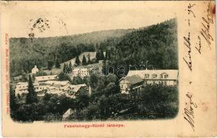 1902 Feketehegy-fürdő, Feketehegy, Schwartzenberg, Cernohorské kúpele (Merény, Vondrisel, Nálepkovo); látkép. Matz Gusztáv kiadása / general view, spa (kis szakadás / small tear)