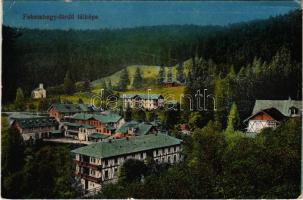 1918 Feketehegy-fürdő, Feketehegy, Schwartzenberg, Cernohorské kúpele (Merény, Vondrisel, Nálepkovo); látkép / general view, spa (EK)