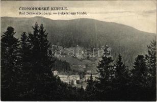 Feketehegy-fürdő, Feketehegy, Schwartzenberg, Cernohorské kúpele (Merény, Vondrisel, Nálepkovo); látkép / general view, spa (EK)