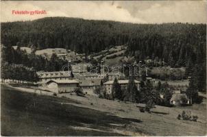 1910 Feketehegy-fürdő, Feketehegy, Schwartzenberg, Cernohorské kúpele (Merény, Vondrisel, Nálepkovo); látkép / general view, spa (EK)