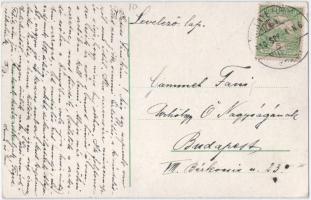 1910 Vihnye, Vihnyefürdő, Kúpele Vyhne; Hell és Licskó ház. Joerges kiadása / villas, spa (EK)