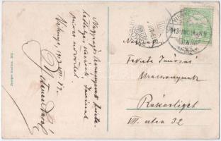 1913 Vihnye, Vihnyefürdő, Kúpele Vyhne; Kilátás a Nefelejts-völgy felé. Joerges kiadása / general vi...