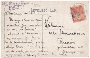 1918 Trencsénteplic, Trencianske Teplice; Dr. Heinrich-féle nyaraló és gyógyszertár. Wertheim Zsigmo...