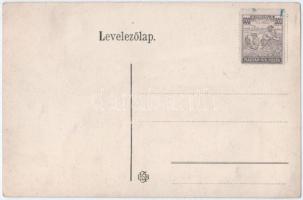 Trencsénteplic, Trencianske Teplice; Baross és Göpfert nyaralók. Ondreicska Fábián kiadása / spa, vi...