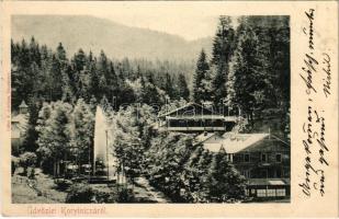 1904 Koritnyica, Korytnica; Szökőkút, Schweiz nyaraló. Kohn A. kiadása / fountain, villa, spa (EK)