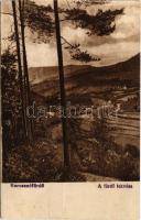 1918 Borosznófürdő, Brusno-kúpele (Borosznó, Brusznó, Brusno); A fürdő fekvése / general view, spa (vágott / cut)