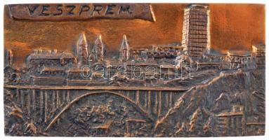 ~1970-1980. Veszprém egyoldalas, öntött bronz plakett (60,5x107mm) T:1-