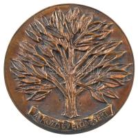 ~1970-1980. A közművelődésért / Megyei Művelődési Központ Kecskemét bronz emlékérem (91mm) T:1