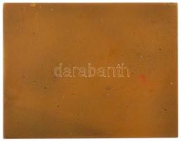 Madarassy Walter (1909-1994) 1973. "Budapest 1873-1973" egyoldalas, öntött bronz plakett (...