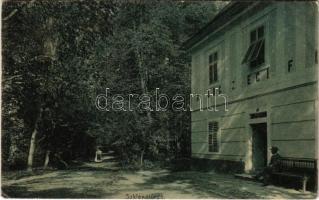 1911 Szklenófürdő, Sklené Teplice; Herczegi fürdő, Hercegfürdő / spa, bathhouse (EK)