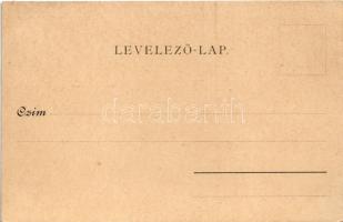 Pöstyén, Pistyan, Piestany; Ferenc József fürdő. Schwidernoch Károly műintézete kiadása / Franz Jose...