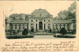 Pöstyén, Pistyan, Piestany; Ferenc József fürdő / Franz Josefs Bad / spa, bathhouse (szakadások / tears)