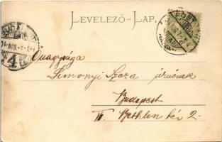 1904 Pöstyén, Pistyan, Piestany; Ferenc József fürdő / Franz Josefs Bad / spa, bathhouse (EK)