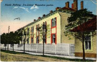 1936 Pöstyén, Pistyan, Piestany; Pro-Labore-Alexandrov pavilon / fürdő pavilon / spa, pavilion (EK)