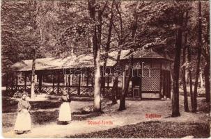 Szliács, Sliac; József-forrás. Magyar Bazár (Waktor Sámuel) kiadása. Hátoldalon Wágner a Hangszer-Király reklám / spa, spring source, advertisement on the backside (EK)