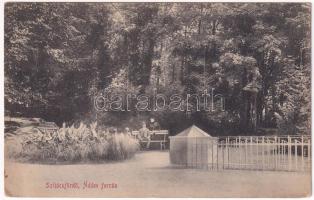 1911 Szliács, Sliac; Ádám-forrás. Molnár M. kiadása / spa, spring source (ázott / wet damage)