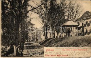 1903 Szliács, Sliac; Egy részlet a szliácsi fürdőtelepről. Kerekes Miklós kiadása / spa, street view (EK)