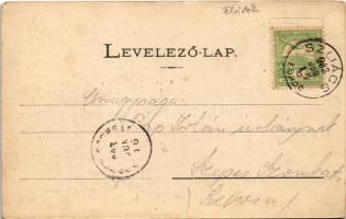 1903 Szliács, Sliac; Egy részlet a szliácsi fürdőtelepről. Kerekes Miklós kiadása / spa, street view...