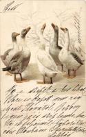 Geese litho