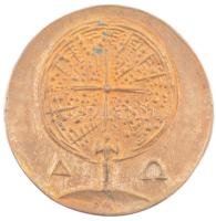 Berhidi Mária (1953-) DN "Hommage Á P. Teilhard De Chardin" kétoldalas bronz emlékérem (90...