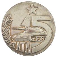 Peternák Gusztáv (1928-) 1976. Tata 15 (éve) / A szocialista haza szolgálatában 1961-1976 MN kétoldalas ezüstözött bronz emlékérem (60mm) T:2