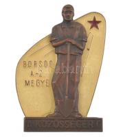 DN Borsod-Abaúj-Zemplén Megye - A Közösségért műgyantás egyoldalas bronz plakett (52x77mm) T:1-